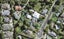 5 Earl Road, Titirangi, Auckland - Carousel 1