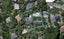 116 Maida Vale Road, Roseneath, Wellington - Carousel 1