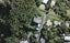 11 McIntosh Road, Oneroa, Waiheke Island - Carousel 1