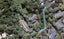 16B Del Mar Place, Merrilands, New Plymouth - Carousel 1