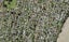 47 Anderson Avenue, Point England, Auckland - Carousel 1