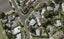 36 Arrow Road, Forrest Hill, Auckland - Carousel 1