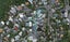 10 Roseneath Terrace, Roseneath, Wellington - Carousel 1