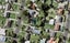 36D Kawiti Avenue, Point England, Auckland - Carousel 1