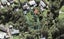 52A Taupo Street, Green Bay, Auckland - Carousel 1