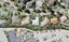 26 Margaret Henry Crescent, Oteha, Auckland - Carousel 1