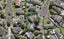 15 Banbury Place, Mangere Bridge, Auckland - Carousel 1