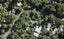16 Taraire Road, Titirangi, Auckland - Carousel 1