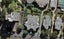 502/424 Remuera Road, Remuera, Auckland - Carousel 1