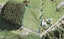 207 Foley Quarry Road, Albany - Carousel 1