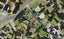 11 Molley Green Place, Mount Roskill, Auckland - Carousel 1