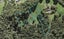 11 Leveloff Road, Paremoremo, Auckland - Carousel 1