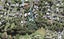 32 Lantana Road, Green Bay, Auckland - Carousel 1