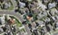 5 Saralee Drive, Manurewa, Auckland - Carousel 1