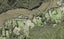 120 Bethells Road, Henderson - Carousel 1