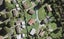 5 Game Place, Red Hill, Papakura - Carousel 1