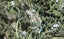 22A Hobbs Road, Matakatia, Whangaparaoa - Carousel 1