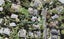 124 Canongate Street, Birkdale, Auckland - Carousel 1