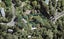 21 McEldowney Road, Titirangi, Auckland - Carousel 1