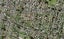 39A Waddell Avenue, Point England, Auckland - Carousel 1