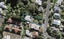 44 Aroha Avenue, Sandringham, Auckland - Carousel 1