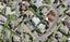 9 San Domingo Rise, Henderson, Auckland - Carousel 1