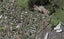 31D Mountain Road, Mount Wellington, Auckland - Carousel 1