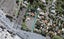 4/24 Cornwallis Street, Mount Albert, Auckland - Carousel 1