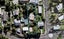 54 Margate Road, Blockhouse Bay, Auckland - Carousel 1