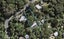 7 Palm Road, Palm Beach, Waiheke Island - Carousel 1
