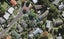 13 Munstead Place, Hillcrest, Auckland - Carousel 1