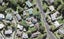 37 La Rosa Street, Green Bay, Auckland - Carousel 1