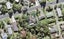 80 Cliff View Drive, Green Bay, Auckland - Carousel 1