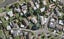 13 Awakino Place, Manurewa, Auckland - Carousel 1