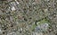 125 Wordsworth Road, MANUREWA, AUCKLAND - Carousel 1