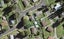 1 Game Place, Red Hill, Papakura - Carousel 1
