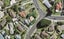 1A McKinley Road, Sunnyvale, Auckland - Carousel 1