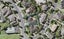 22 Graham Collins Drive, Windsor Park, Auckland - Carousel 1