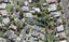 13 Warwick Street, Morningside, Auckland - Carousel 1