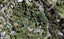 3 Herrings Cove Place, Titirangi, Auckland - Carousel 1