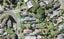 2/43 Seaton Road, Murrays Bay, Auckland - Carousel 1