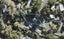1/20 Woodlands Crescent, Browns Bay, Auckland - Carousel 1