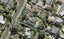 15 Ambury Road, Mangere Bridge, Auckland - Carousel 1