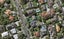 9A Manapau Street, Meadowbank, Auckland - Carousel 1
