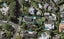 149 Orakei Road, Remuera, Auckland - Carousel 1