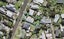 24 Shortt Avenue, Mangere Bridge, Auckland - Carousel 1