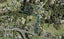 334 Redoubt Road, Totara Park, Auckland - Carousel 1