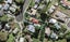 6 Hughes Terrace, Te Atatu Peninsula, Auckland - Carousel 1