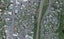 24 Oxford Street, Tawa, Wellington - Carousel 1