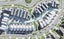 295C Millwater Parkway, Silverdale, Silverdale - Carousel 1